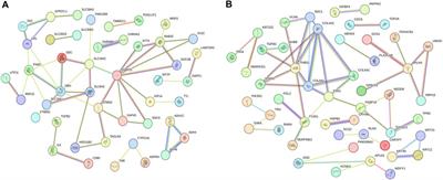 Identification and functional analysis of ovarian lncRNAs during different egg laying periods in Taihe Black-Bone Chickens